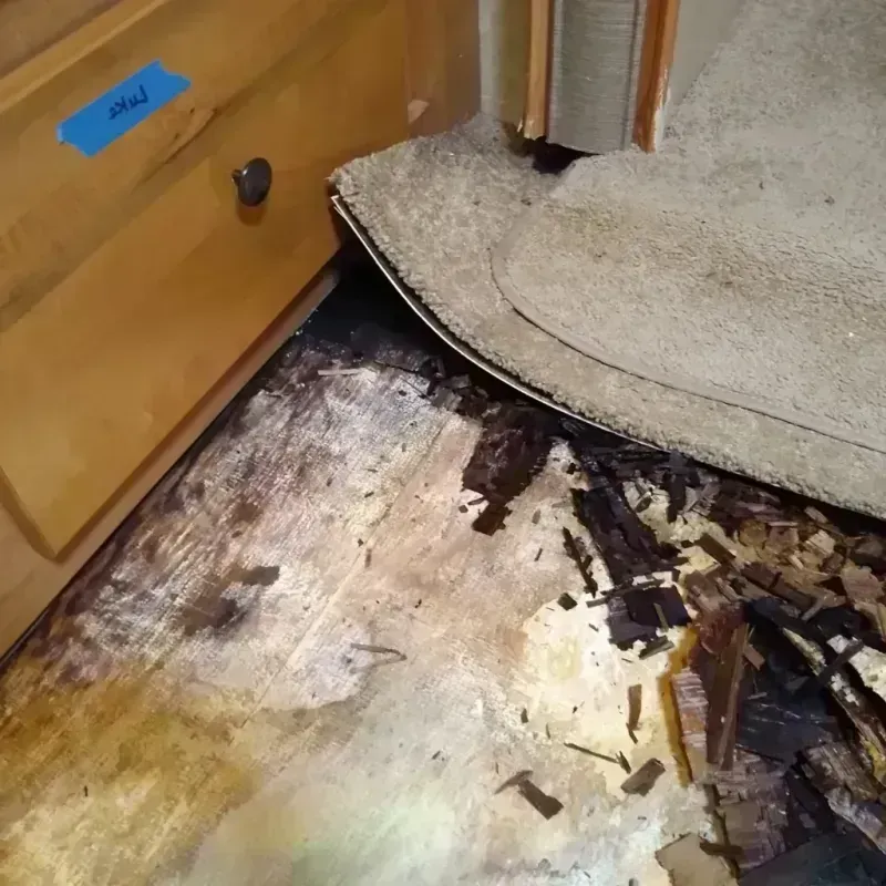 Wood Floor Water Damage in Kimberly, AL